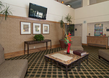 H I Express & Suites San Antonio Medical-Six Flags Eksteriør billede
